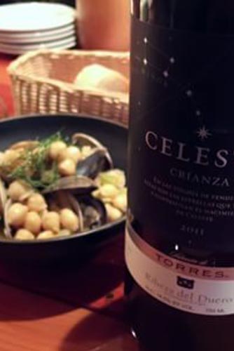 Bienvenido Spaans praten met tapas en wijn